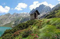 04 La chiesetta del Curò tra rododendri e pini mughi